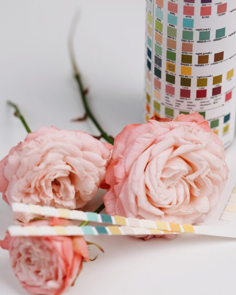 Дослідження в нефрології